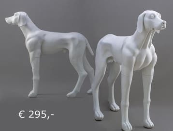 Decoratie honden en katten, Ophalen of Verzenden, Nieuw