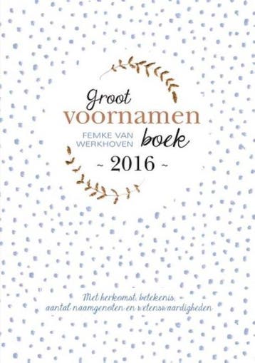 Groot voornamenboek 2016 - van Werkhoven, Verzenden, Gelezen