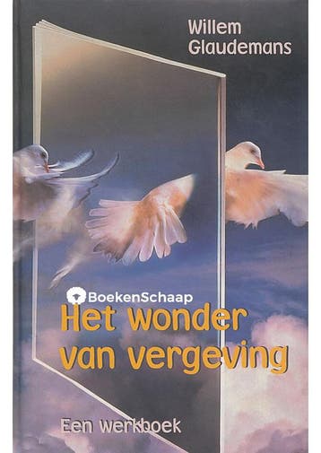 Het wonder van vergeving Een werkboek Willem Glaudemans, Boeken, Esoterie en Spiritualiteit, Verzenden, Gelezen