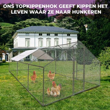 MaxxPet Kippenren - kippenhok metaal - 3x6x2m (Kippenhokken), Verzenden, Nieuw