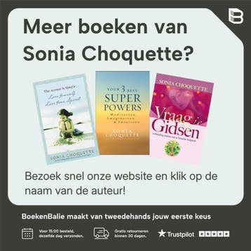 Het intuïtieve gezin 9789076541235 Sonia Choquette, Verzenden, Gelezen, Sonia Choquette
