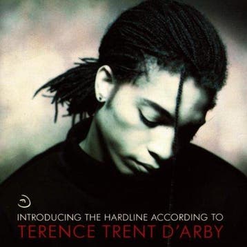 cd - Terence Trent DArby - Introducing The Hardline Acco..., Verzenden, Zo goed als nieuw