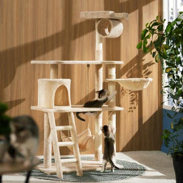 Krabpaal Marcel 141cm - beige, Dieren en Toebehoren, Verzenden, Nieuw