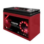 Zenith AGM Deep Cycle accu | ZL060100 | 6V 200Ah, Ophalen of Verzenden, Nieuw