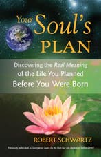 Your Souls Plan 9781583942727 Robert Schwartz, Verzenden, Gelezen, Robert Schwartz