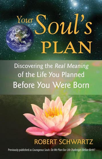 Your Souls Plan 9781583942727 Robert Schwartz, Boeken, Verzenden, Gelezen, Robert Schwartz