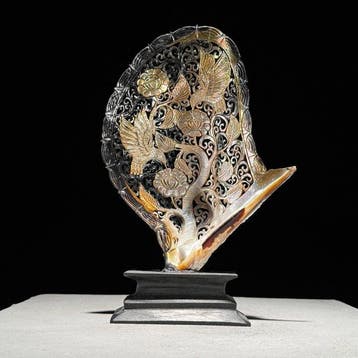 Prachtige parelmoeren schelp op een maatwerk standaard -, Antiek en Kunst