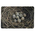 deurmat eieren in nest 75x50cm, Tuin en Terras, Verzenden, Nieuw