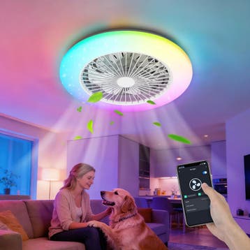 Plafondventilator met verlichting - Plafondlamp met ventilat, Verzenden, Zo goed als nieuw