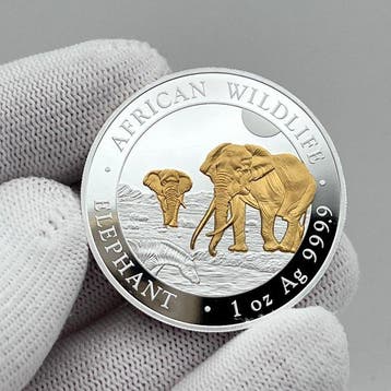 Somalië. 100 Shilling 2026 – African Wildlife Series –