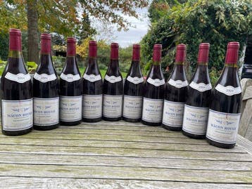 2004 Domaine des Chenevrières - Mâconnais - 10 Flessen (0.75, Nieuw