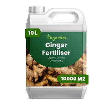 Gember vloeibare meststof - 10 liter, Verzenden, Mest
