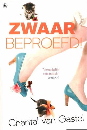 Zwaar beproefd! / Zwaar-verliefd-trilogie / 2 9789044331264, Verzenden, Gelezen, Chantal van Gastel