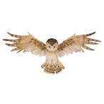 Dierenbeeld wandhanger kerkuil 55 cm - Decoratie vogels, Ophalen of Verzenden, Nieuw