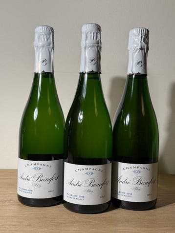 2018 André Beaufort, André Beaufort - Champagne Brut, Blanc, Nieuw