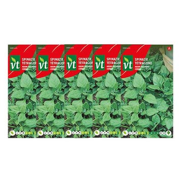 Spinazie zaad | VT | 5 stuks, Verzenden