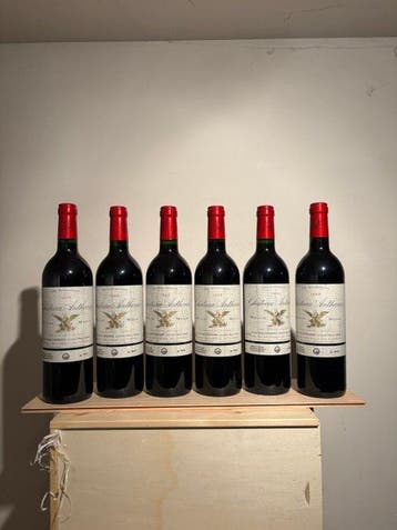 1999 Chateau Anthonic - Moulis en Médoc Cru Bourgeois - 6, Nieuw