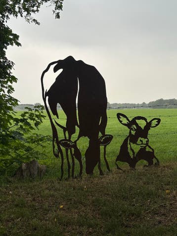 Tuinbeelden | 100+ dieren | Cortenstaal &amp; zwart, Nieuw, Metaal