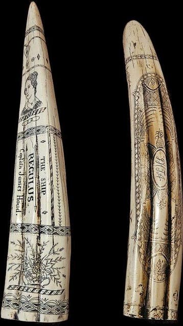 Scrimshawed Walrus tusk (2) - Hars- harsreproductie, Antiek en Kunst