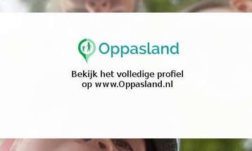 Elske zoekt een oppas in Voorschoten voor 2 kinderen op m..., Boeken, Nieuw
