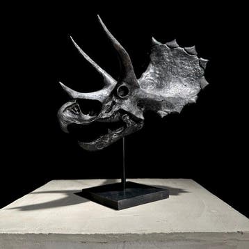 Geen minimumprijs - Replica van een Triceratops-dinosaurus