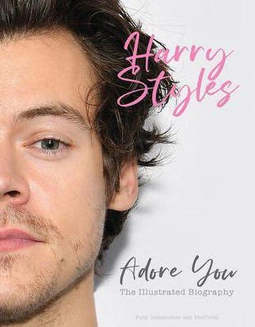 Harry Styles: Adore You - Carolyn McHugh 9781912918683, Verzenden, Gelezen, Carolyn McHugh