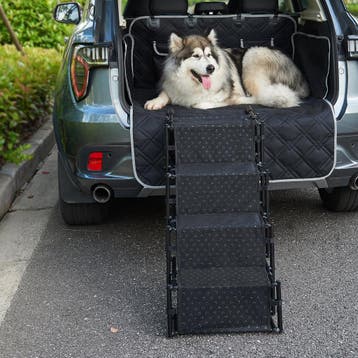 [en.casa] Hondentrap Colchester loopplank voor dieren max. 5, Verzenden, Nieuw