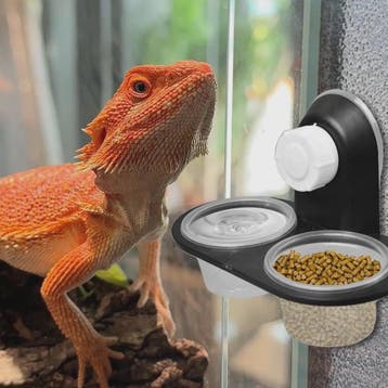 Voer- en Waterbakje met Zuignap voor Reptielen Terrarium, Dieren en Toebehoren