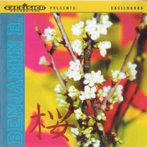 cd - Benjamin B. - Benjamin B., Verzenden, Zo goed als nieuw