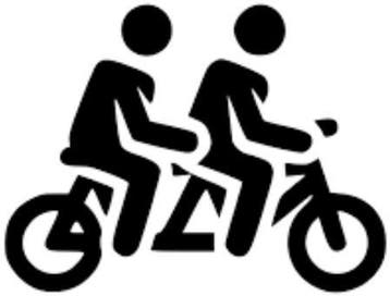 dé TANDEM Specialist : Rein Veenendaal | VEEL GEBRUIKT!, Ophalen of Verzenden, Zo goed als nieuw, REIN VEENENDAAL, Vering