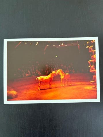 Nan Goldin - Horse Circus