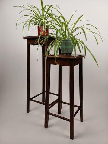 Plantentafel (2) - Eik - Bijzetttafel - Piëdestal