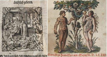 Albertus Magnus - Daraus man alle Heimligkeit deß Weiblichen