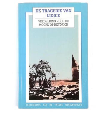 LidiÄe - Marion Zimmer Zimmer Bradley 9789002191213, Verzenden, Gelezen, Marion Zimmer Zimmer Bradley