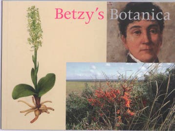 Betzys Botanica - Erik Saaltink 9789089101747, Verzenden, Zo goed als nieuw, Erik Saaltink