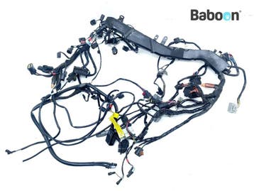 Kabelboom Triumph Tiger 900 GT Pro 2020-2023 (2502370), Verzenden, Gebruikt