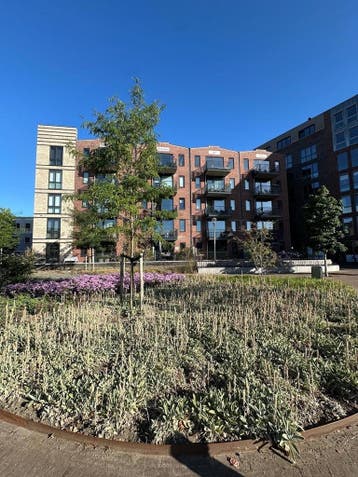 Te huur: Appartement Spirituslaan in Bergen op Zoom, Bergen op Zoom, Noord-Brabant, Appartement
