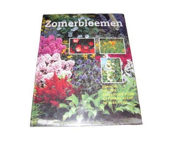 ZOMERBLOEMEN - Hanneke van Dijk 9789062488360, Verzenden, Gelezen, Hanneke van Dijk