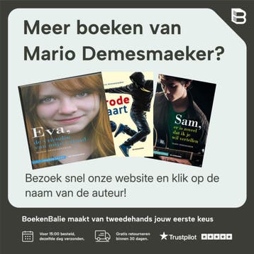 Een fontein in de regen / Lekker lezen - Mario Demesmaeker, Verzenden, Zo goed als nieuw, Mario Demesmaeker