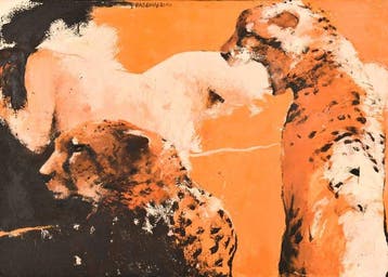 Wil van der Laan (1950) - Cheetahs