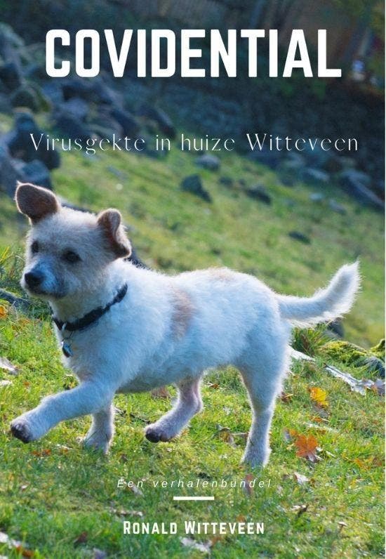 Covidential - Ronald Witteveen 9789083038940, Boeken, Literatuur, Gelezen, Verzenden