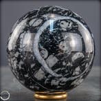 Zeldzame natuurlijke orthoceras-bal – Fossile elegantie in