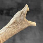 Snijwerk, NO RESERVE PRICE - Stunning Head of Wolf carving, Antiek en Kunst