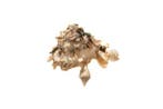 Stenen drager schelp, goede staat - verzamelobject - Skelet, Verzamelen, Nieuw