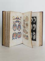 Ernest Haeckel, Dr Letourneau - Anthropogénie ou Histoire de, Antiek en Kunst, Antiek | Boeken en Bijbels