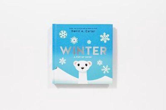 Winter. A Pop-up Book 9781419718236 David Carter, Boeken, Taal | Engels, Gelezen, Verzenden