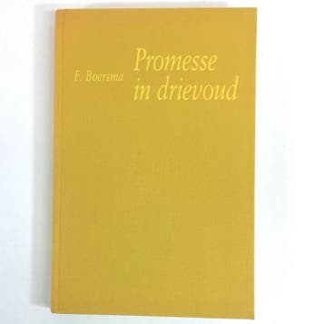 Promesse in drievoud - Boersma 9789073184022, Verzenden, Gelezen, Boersma