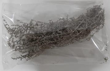 Wilde asparagus Taupe ca. 250 gram, Ophalen of Verzenden, Nieuw