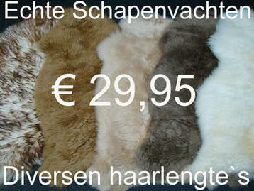 Schapenvacht OPRUIMING € 29,95 100% ECHTE schapenvel  NIEUW, Huis en Inrichting, Woonaccessoires | Overige, Ophalen of Verzenden
