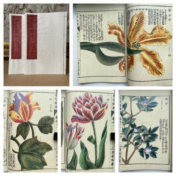 Tsunemasa Iwasaki - - Illustrated Compendium of